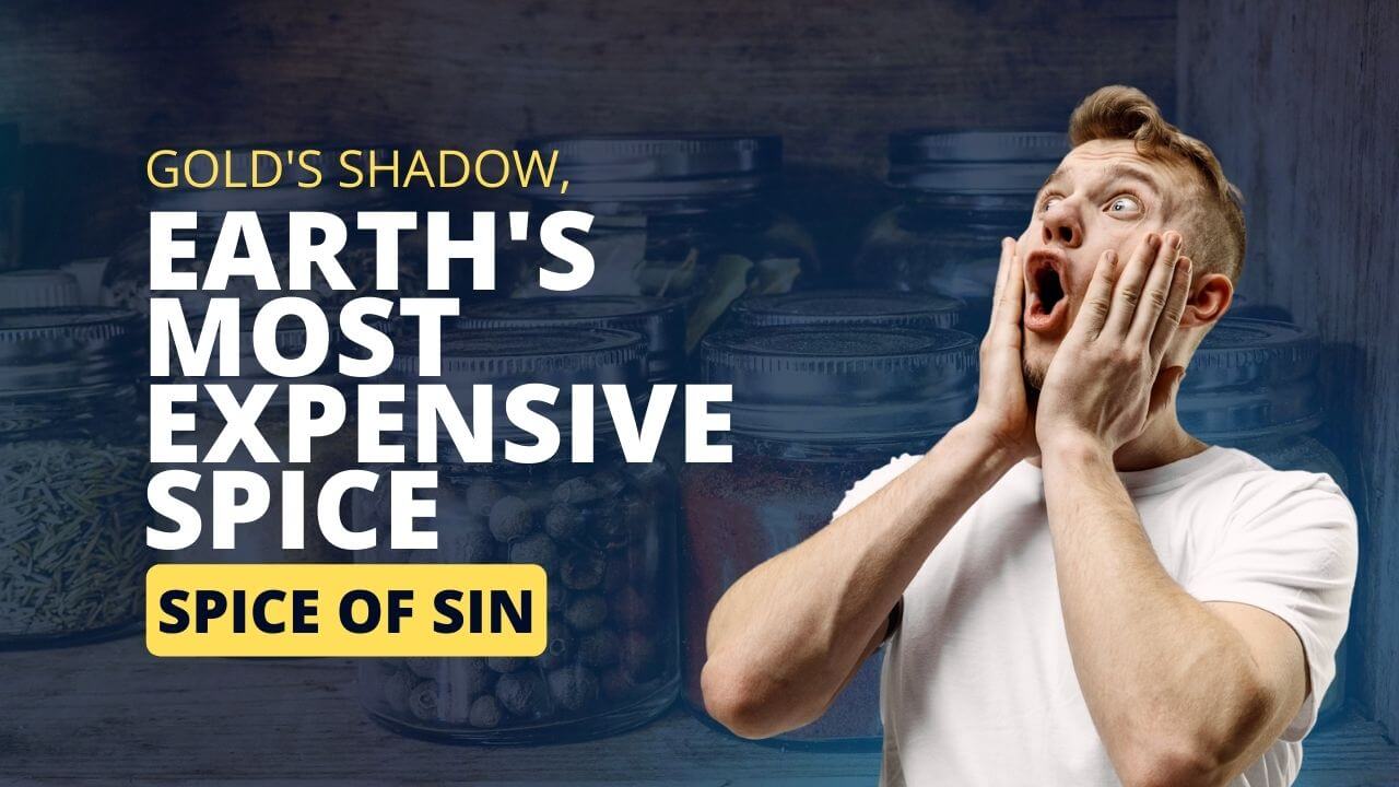 Earths Most Expensive Spice and Spice of sin 2